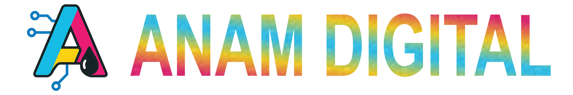 Anam Digital